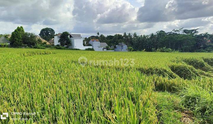 ZIZIZISOSOSO SOA GO FOR SALE LAND VIEW SAAH LOCATION LODTUNDUH UBUD GIANYAR  2