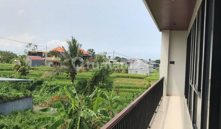 Di Jual Villa Baru Lokasi Kedungu Kediri Tabanan Bali Di Jual Villa Baru Lokasi Kedungu Kediri Tabanan Bali