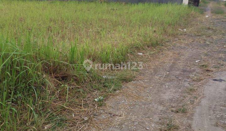 SUSUSUPER FOR SALE LAND LOCATION LODTUNDUH UBUD GIANYAR 1