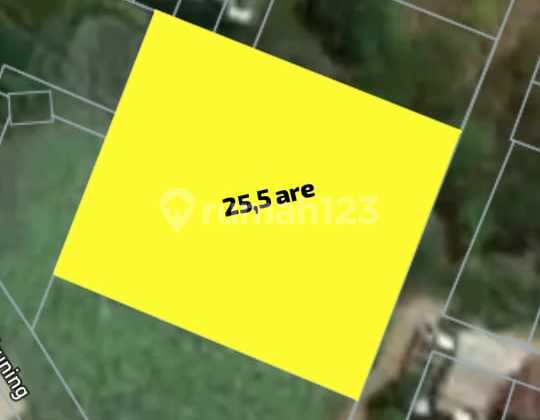 Pasti Deal Di Jual Tanah Lokasi Mahendradatta Denpasar Barat Bali 