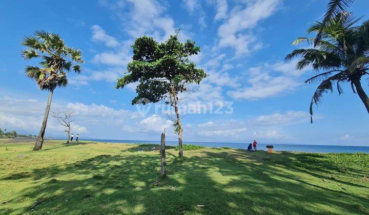 PASTI CLOSING DI JUAL TANAH LOSS PANTAI VIEW LAUT LOKASI SABA BLAHBATUH GIANYAR
 1