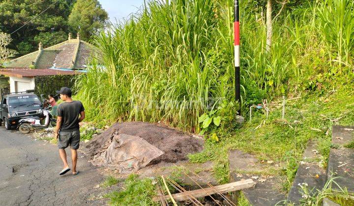 PASTI CLOSING DI JUAL TANAH VIEW SAWAH LOKASI SIDEMEN KARANGASEM
 2