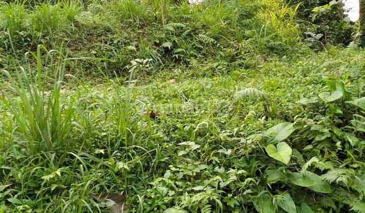 PASTI CLOSING DI JUAL TANAH VIEW SAWAH LOKASI SIDEMEN KARANGASEM
 1