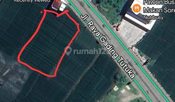  Tanah Sawah Luas Cocok Gudang Strategis di Gading Tutuka  2