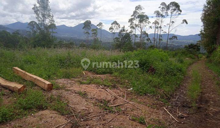 Tanah Perkebunan Aktif Strategis di Gambung Ciwidey Bandung 2