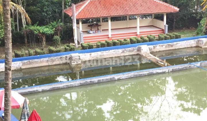 Tanah Luas Bonus Villa Murah di Ujungberung Bandung Tanah Luas Bonus Villa Murah di Ujungberung Bandung