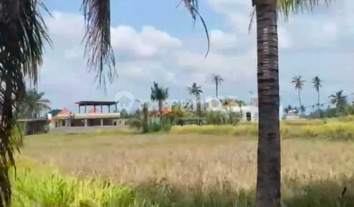 Strategic Spacious Land in Lodtunduh Ubud Bali Strategic Spacious Land in Lodtunduh Ubud Bali