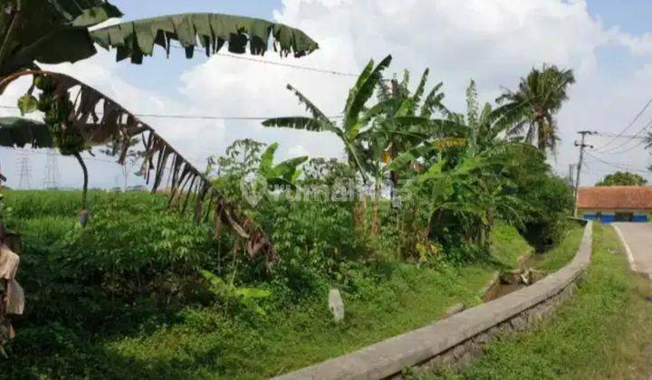 Tanah Sawah Strategis Pinggir Jalan Raya di Hegarmanah Jatinangor 2