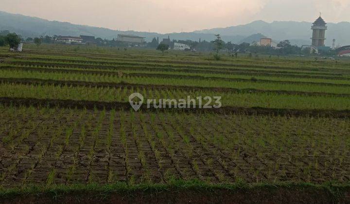  Tanah Sawah Luas Cocok Gudang Strategis di Gading Tutuka  1