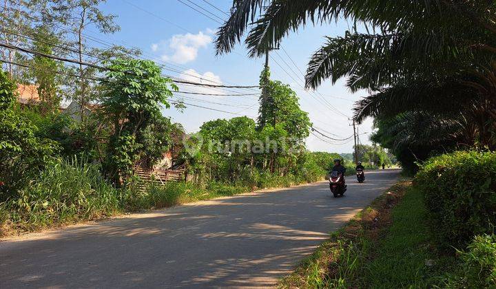 Dijual Murah Tanah Pinggir Jalan Pohon Jati, Cileles, Tigaraksa 1