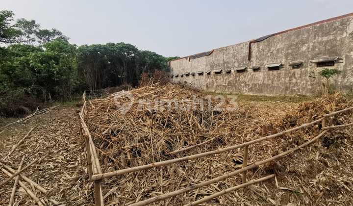 Tanah di Suradita Cisauk Dekat Perumahan Winston