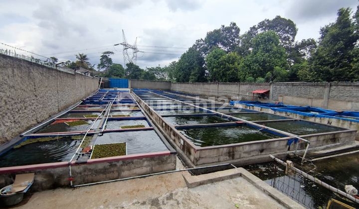 Land in Ciseeng, Bogor, West Java