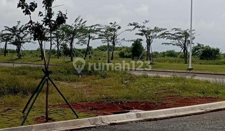 Investasi Kavling 1,⁵ Hektar Pik2 Extension 15 Juta/M Investasi Kavling 1,⁵ Hektar Pik2 Extension 15 Juta/M