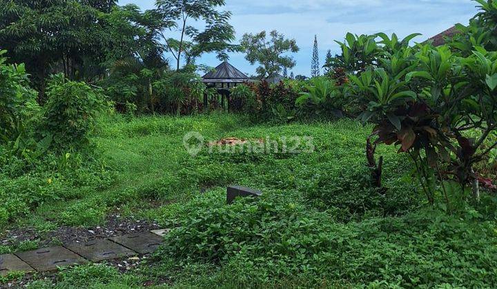 Tanah Strategis View Sawah Di Ubud Untuk Investasi 1