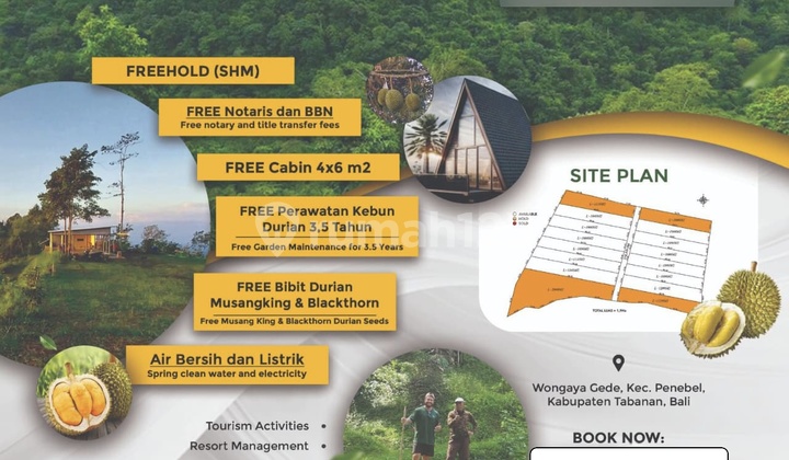 Kavling Tanah Bonus 10 Bibit Durian Dan Cabin Villa