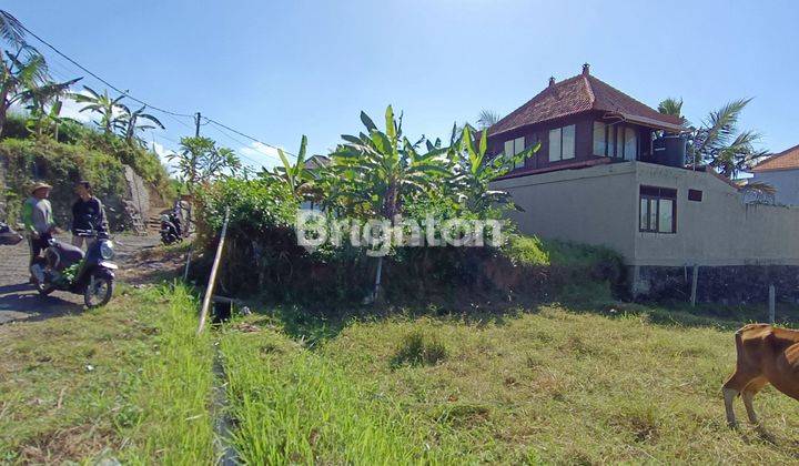 RARE 1 ARE LAND IN A VILLA NEIGHBORHOOD 200M TO THE BEACH 1