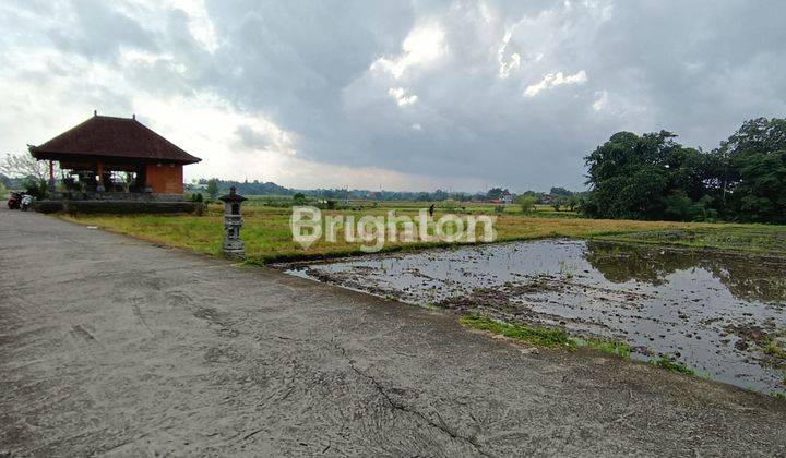 TANAH SUPER CANTIK KAWASAN VILLA DENGAN VIEW PADI 2