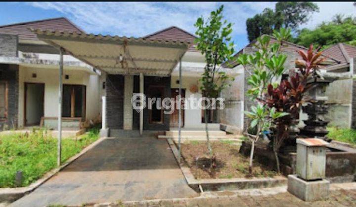 ONE GATE MINIMALIST MODERN HOUSE IN TABANAN 2