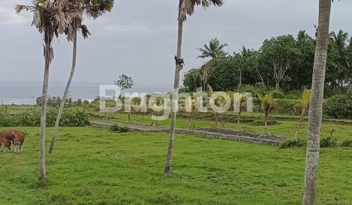 Tanah Cantik Tepi Pantai 5 Are Di Yeh Sumbul Negara 1