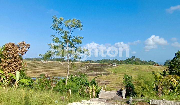 TANAH CANTIK DAN SEMPURNA DI TENGAH HAMPARAN SAWAH DEKAT PANTAI YEH GANGGA 1