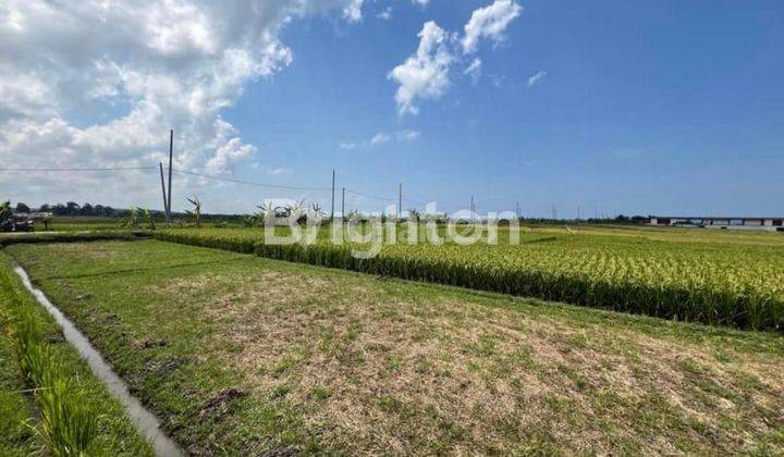 TANAH IDEAL SUPER CANTIK 200 METER DARI PANTAI PASUT TABANAN 1