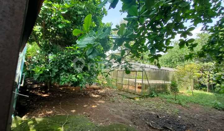 Tanah 605m² Dibawah Harga Pasar Ideal Untuk Bisnis Tanah 605m² Dibawah Harga Pasar Ideal Untuk Bisnis