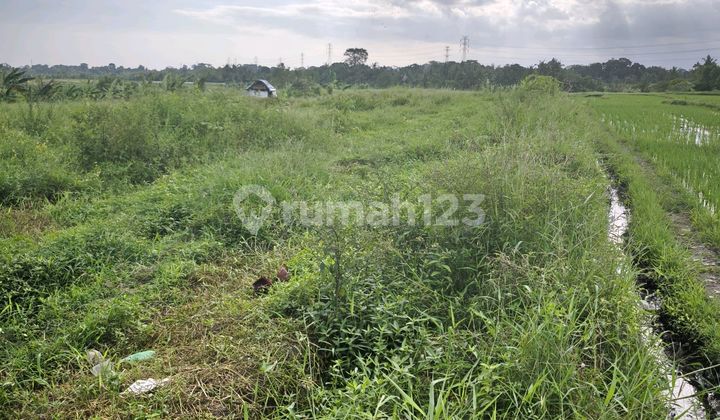64 Are Rice Field View Lease Land on Main Road Kaba-kaba