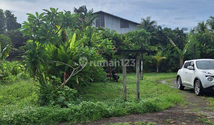 Tanah Strategis View Sawah Di Ubud Untuk Investasi 2