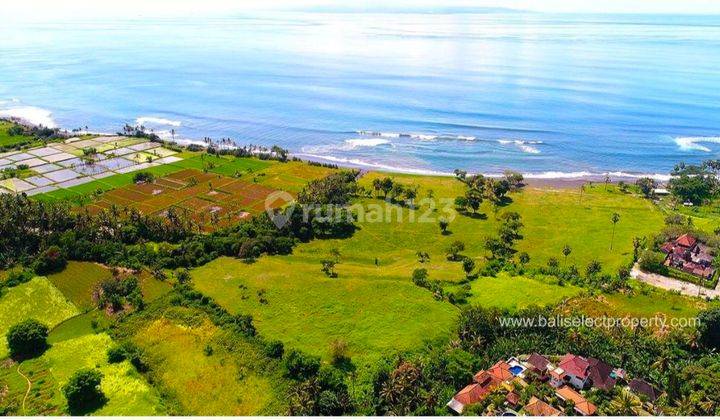 TANAH SUPER PREMIUM DI BEACH FRONT PANTAI SABA GIANYAR 1