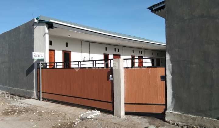 Over Kontrak Kos-kosan Full Penyewa Di Pedungan, Passive Income