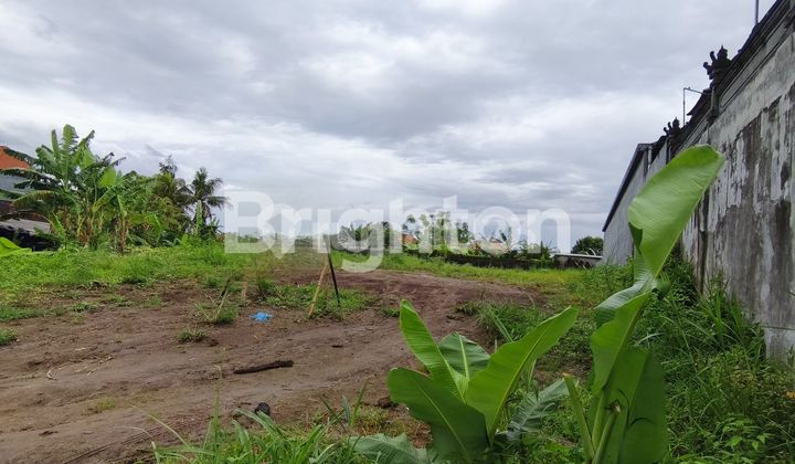 TANAH KOMERSIAL DI PINGGIR JALAN RAYA ANGANTAKA, SIBANG GEDE