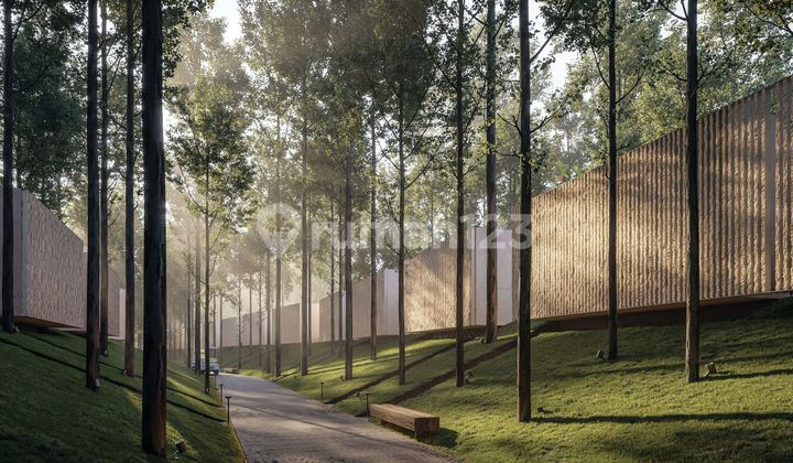 Lifestyle Investment Villa Mewah Konsep Alami Di Canggu