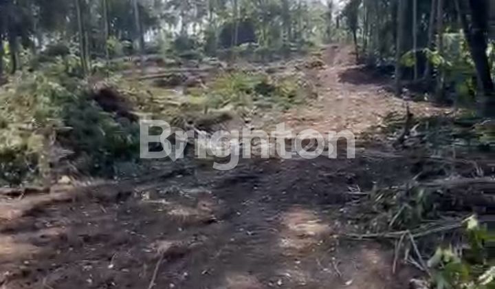 Kavling Impian Di Saba Gianyar View Jungle, Sungai & Sawah Kavling Impian Di Saba Gianyar View Jungle, Sungai & Sawah