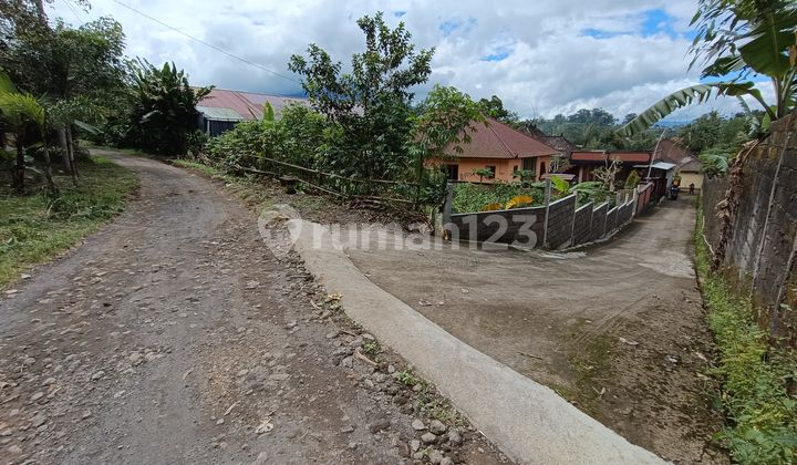 Tanah Murah Luas 15,6 Are View Lembah Di Bedugul