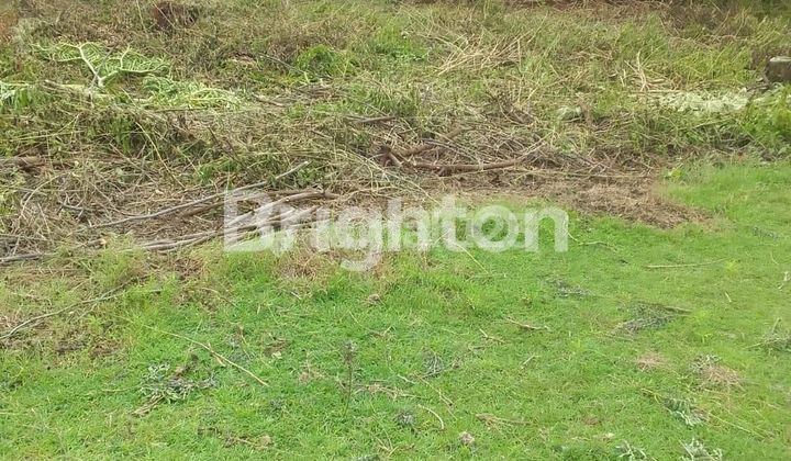 TANAH INVESTASI EMAS DI NUSA DUA  JL DHARMAWANGSA