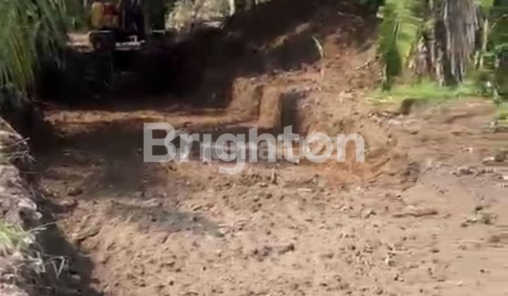 KAVLING IMPIAN DI SABA GIANYAR MASIH HARGA PRESALE KAVLING IMPIAN DI SABA GIANYAR MASIH HARGA PRESALE