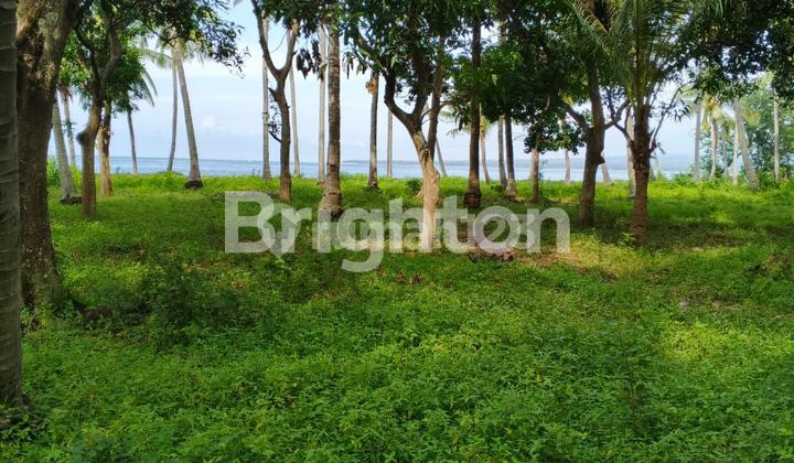 Cheap 64 are land on the Beachside of Lombok Cheap 64 are land on the Beachside of Lombok