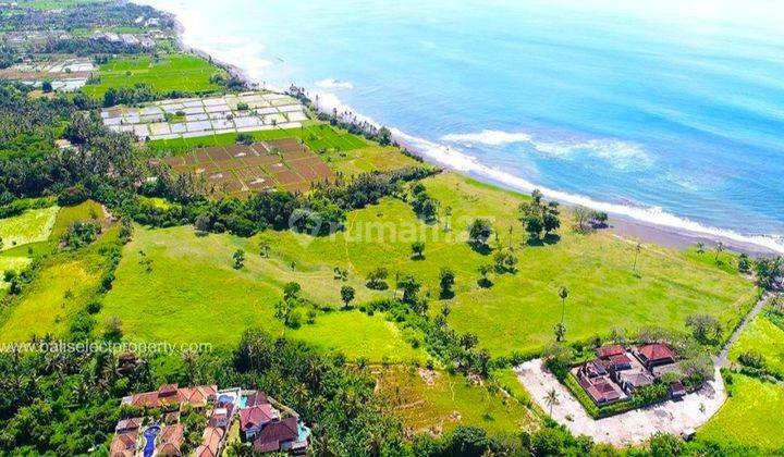 Investasi Tanah Beach Front Premium Dan Langka Di Pantai Saba 2