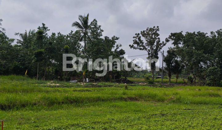 Tanah Kavling Super Cantik View Sawah dan Pantai di Belong, Tabanan