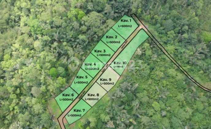Cool Agribusiness Plot at the Foot of Mount Batukaru with Beautiful Natural Views.
