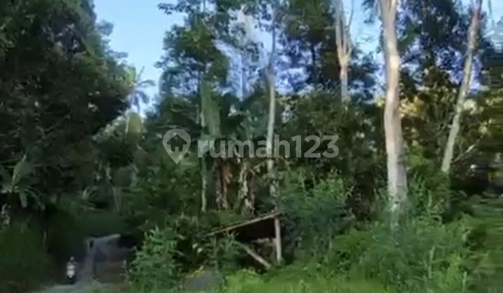 Tanah 40 Are di Muncan, View Gn Agung, Sungai & Sawah