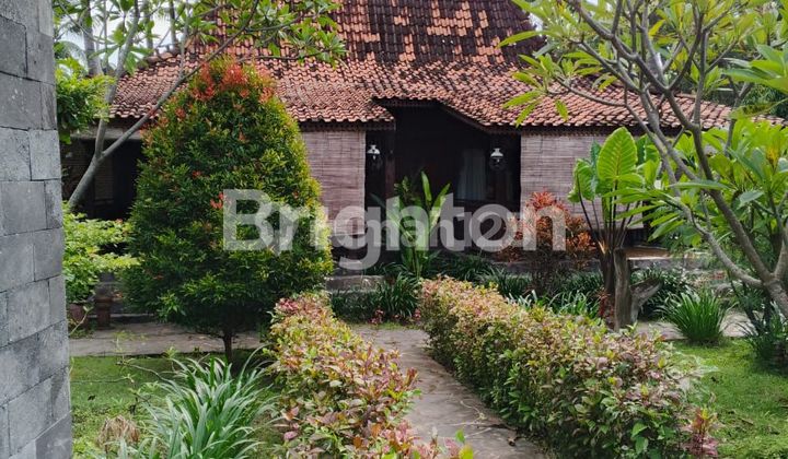 1 hectare of land by Lombok Beach with a beautiful Villa 1 hectare of land by Lombok Beach with a beautiful Villa