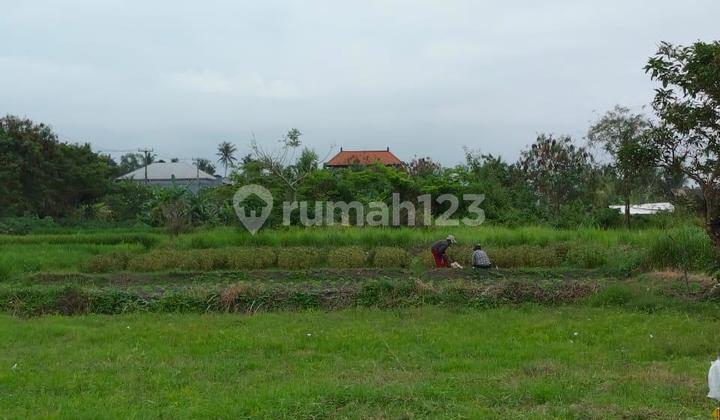 Kavling Emas Badung, View Sawah & Akses Mudah Hanya 400juta-an