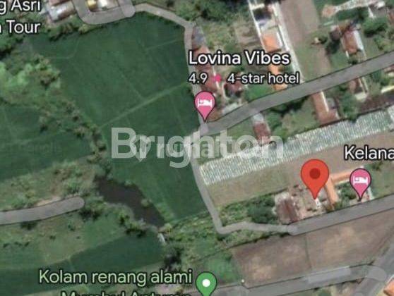 RUMAH VILLA CANTIK DI PUSAT WISATA LOVINA, SINGARAJA 2