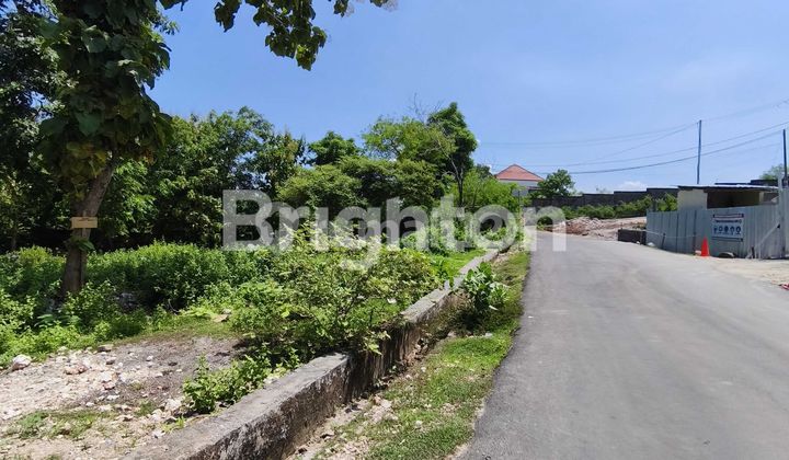 TANAH PREMIUM 10 ARE KOTAK DI PANTAI BINGIN, ULUWATU TANAH PREMIUM 10 ARE KOTAK DI PANTAI BINGIN, ULUWATU