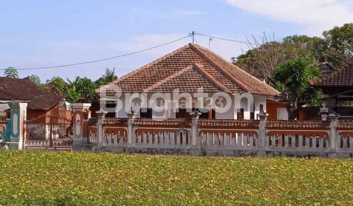 RUMAH VILLA CANTIK DI PUSAT WISATA LOVINA, SINGARAJA