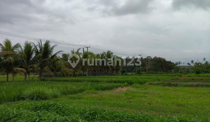 Kavling Emas Badung, View Sawah & Akses Mudah Hanya 400juta-an