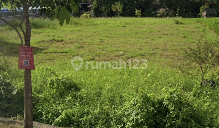 Tanah Sewa 21 Are Langka di Pinggir Jalan Padang Linjong Canggu