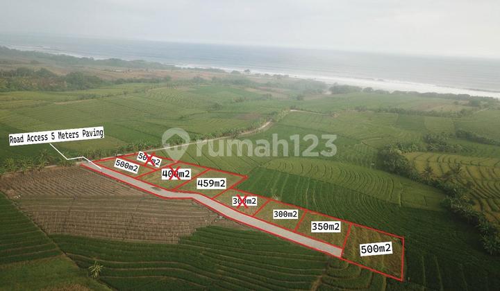 Exclusive 500 M² Plot of Land Only 700 Meters to Pasut Beach Exclusive 500 M² Plot of Land Only 700 Meters to Pasut Beach