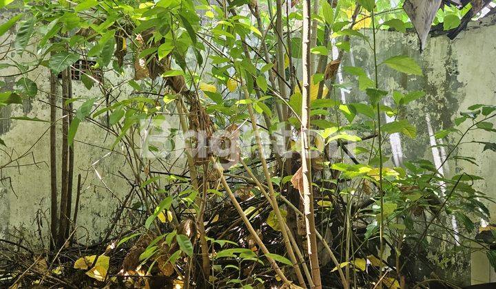 RUKO PUSAT KOTA PINGGIR JALAN UTAMA TEUKU UMAR 2